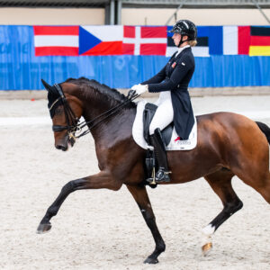 CDI Wroclaw 2023 - autumn