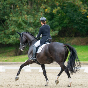 CDI Troisdorf 2023 - autumn