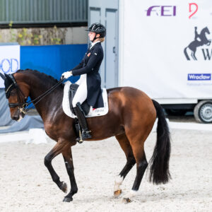 CDI Wroclaw 2023 - autumn