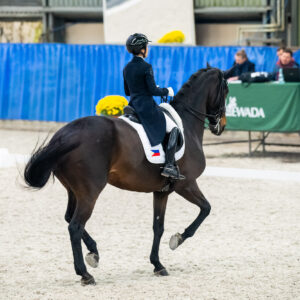 CDI Wroclaw 2023 - autumn