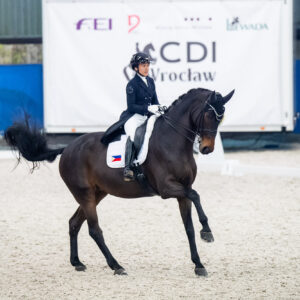 CDI Wroclaw 2023 - autumn