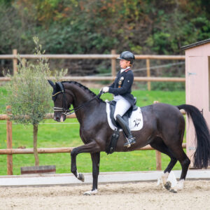 CDI Troisdorf 2023 - autumn