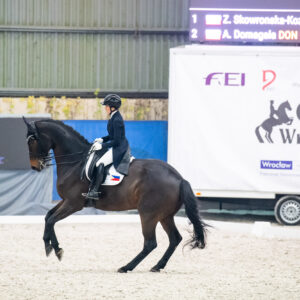 CDI Wroclaw 2023 - autumn