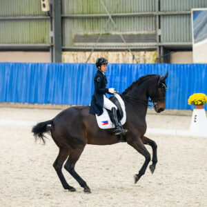 CDI Wroclaw 2023 - autumn