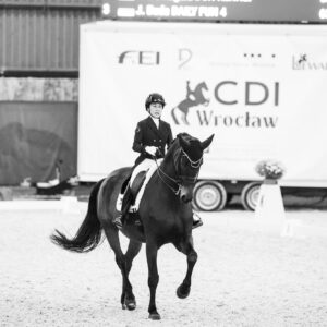 CDI Wroclaw 2023 - autumn