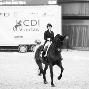 CDI Wroclaw 2023 - autumn