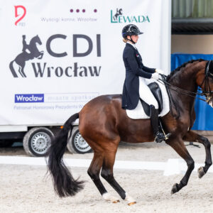 CDI Wroclaw 2023 - autumn