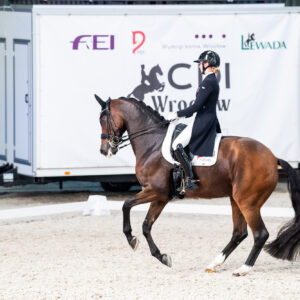 CDI Wroclaw 2023 - autumn