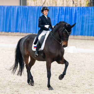 CDI Wroclaw 2023 - autumn