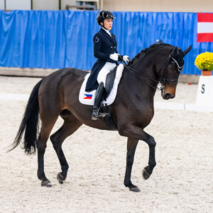 CDI Wroclaw 2023 - autumn
