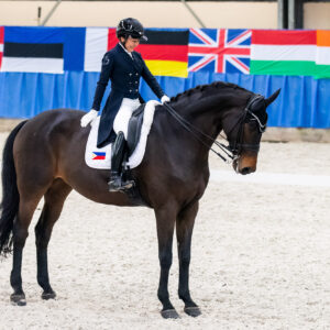CDI Wroclaw 2023 - autumn