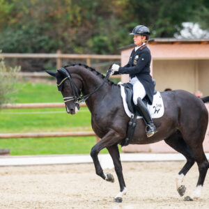 CDI Troisdorf 2023 - autumn