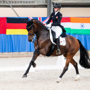 CDI Wroclaw 2023 - autumn