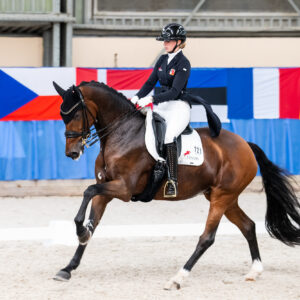 CDI Wroclaw 2023 - autumn