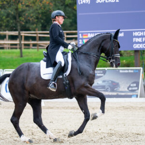 CDI Troisdorf 2023 - autumn