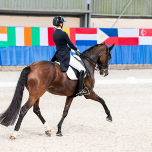 CDI Wroclaw 2023 - autumn