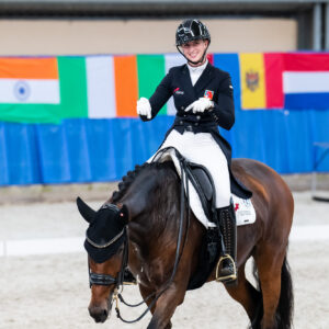 CDI Wroclaw 2023 - autumn