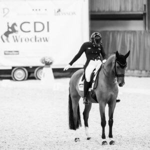 CDI Wroclaw 2023 - autumn