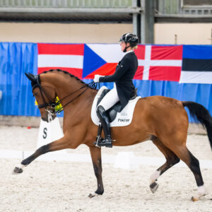 CDI Wroclaw 2023 - autumn