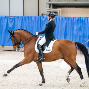 CDI Wroclaw 2023 - autumn