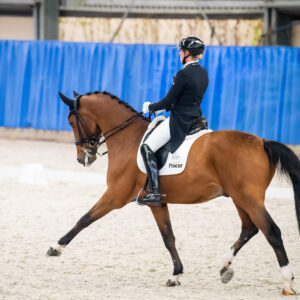 CDI Wroclaw 2023 - autumn