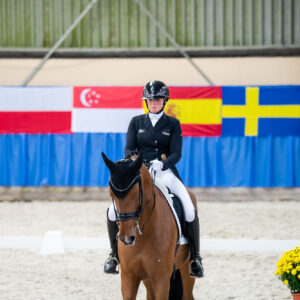 CDI Wroclaw 2023 - autumn