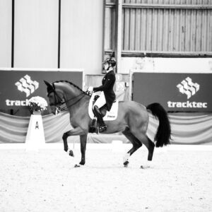 CDI Wroclaw 2023 - autumn