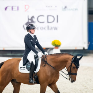 CDI Wroclaw 2023 - autumn