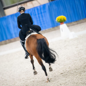 CDI Wroclaw 2023 - autumn