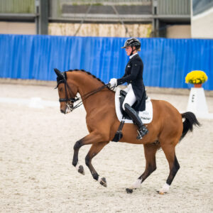 CDI Wroclaw 2023 - autumn