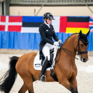 CDI Wroclaw 2023 - autumn
