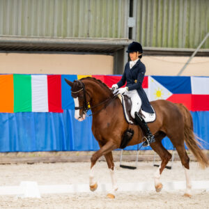 CDI Wroclaw 2023 - autumn