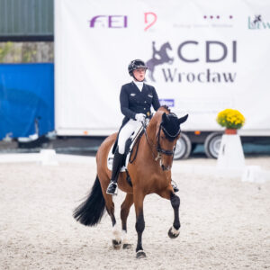 CDI Wroclaw 2023 - autumn