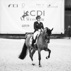 CDI Wroclaw 2023 - autumn
