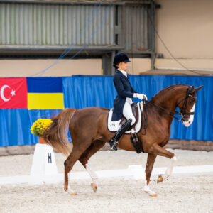 CDI Wroclaw 2023 - autumn