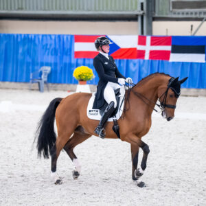 CDI Wroclaw 2023 - autumn