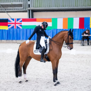 CDI Wroclaw 2023 - autumn