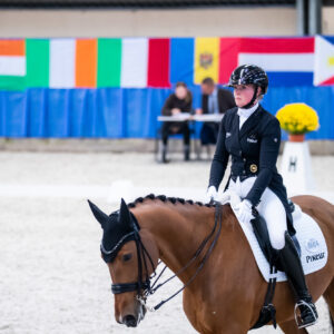 CDI Wroclaw 2023 - autumn
