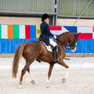CDI Wroclaw 2023 - autumn