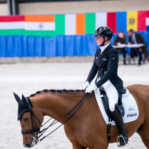 CDI Wroclaw 2023 - autumn