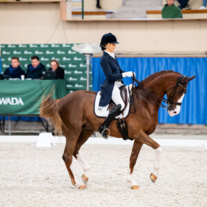 CDI Wroclaw 2023 - autumn