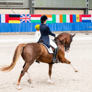 CDI Wroclaw 2023 - autumn