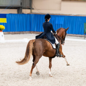CDI Wroclaw 2023 - autumn
