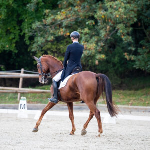 CDI Troisdorf 2023 - autumn