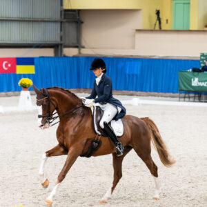 CDI Wroclaw 2023 - autumn