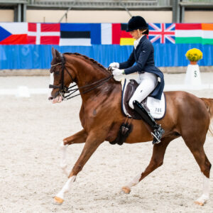 CDI Wroclaw 2023 - autumn