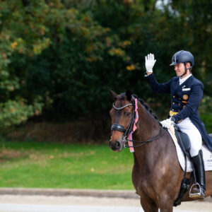 CDI Troisdorf 2023 - autumn