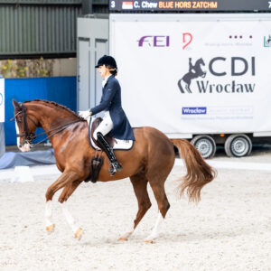 CDI Wroclaw 2023 - autumn