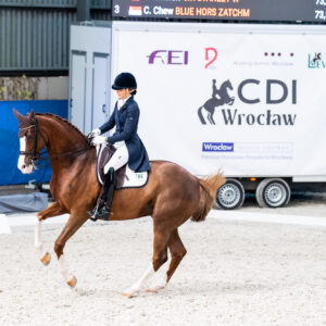 CDI Wroclaw 2023 - autumn