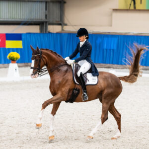 CDI Wroclaw 2023 - autumn